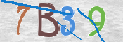 CAPTCHA 驗證圖片