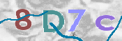 CAPTCHA 驗證圖片