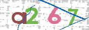 CAPTCHA 驗證圖片