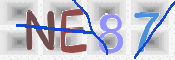 CAPTCHA 驗證圖片