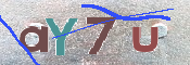 CAPTCHA 驗證圖片