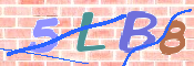 CAPTCHA 驗證圖片