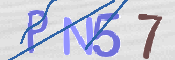 CAPTCHA 驗證圖片