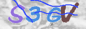 CAPTCHA 驗證圖片