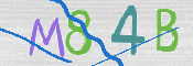 CAPTCHA 驗證圖片