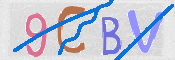 CAPTCHA 驗證圖片