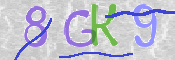 CAPTCHA 驗證圖片