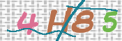 CAPTCHA 驗證圖片