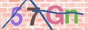 CAPTCHA 驗證圖片