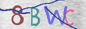 CAPTCHA 驗證圖片