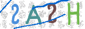 CAPTCHA 驗證圖片
