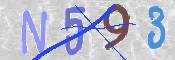 CAPTCHA 驗證圖片