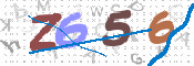 CAPTCHA 驗證圖片
