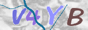 CAPTCHA 驗證圖片