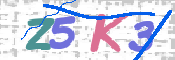 CAPTCHA 驗證圖片