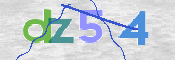 CAPTCHA 驗證圖片