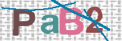 CAPTCHA 驗證圖片