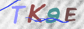 CAPTCHA 驗證圖片